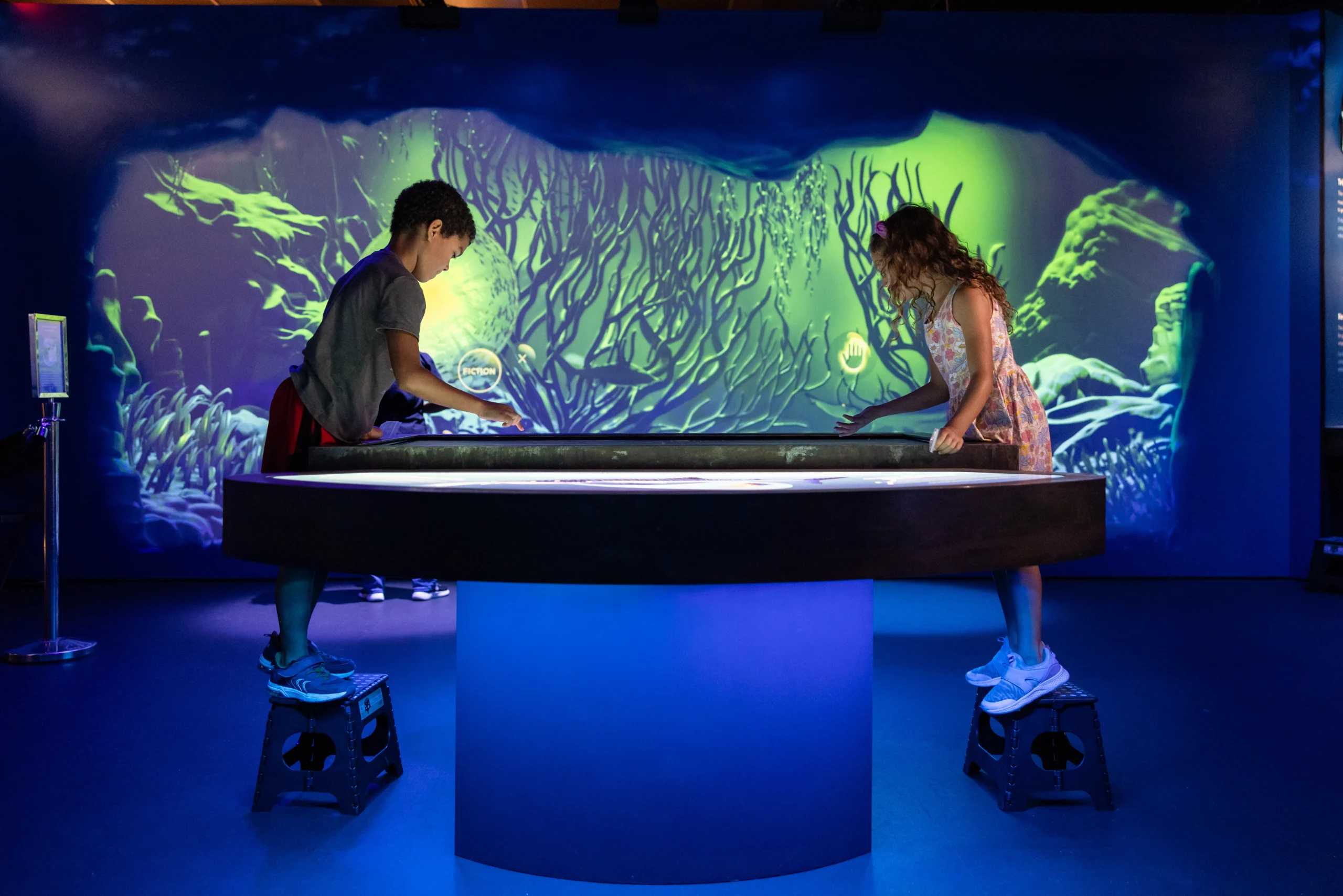 Plankton Pursuit Game