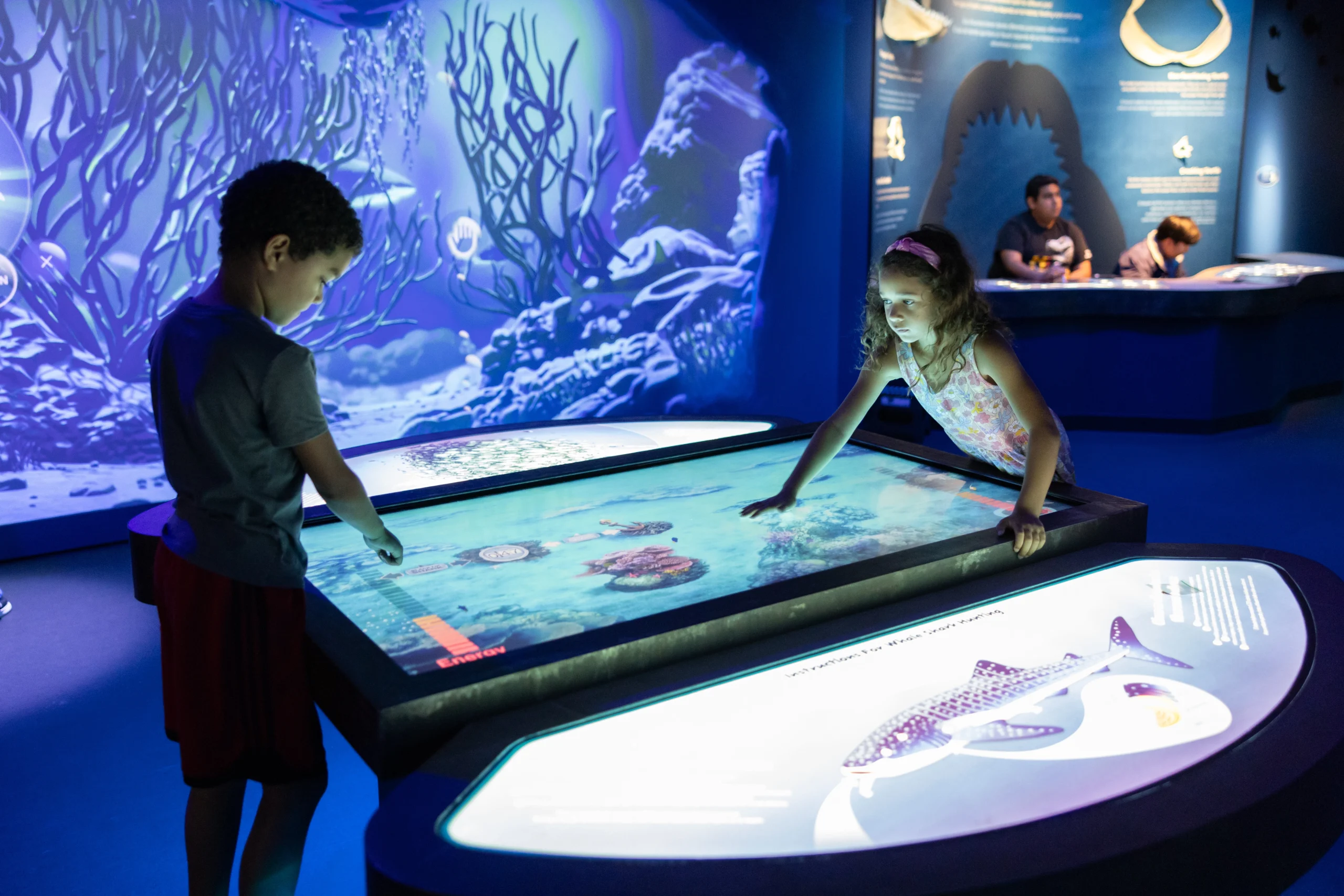 Plankton Pursuit Game