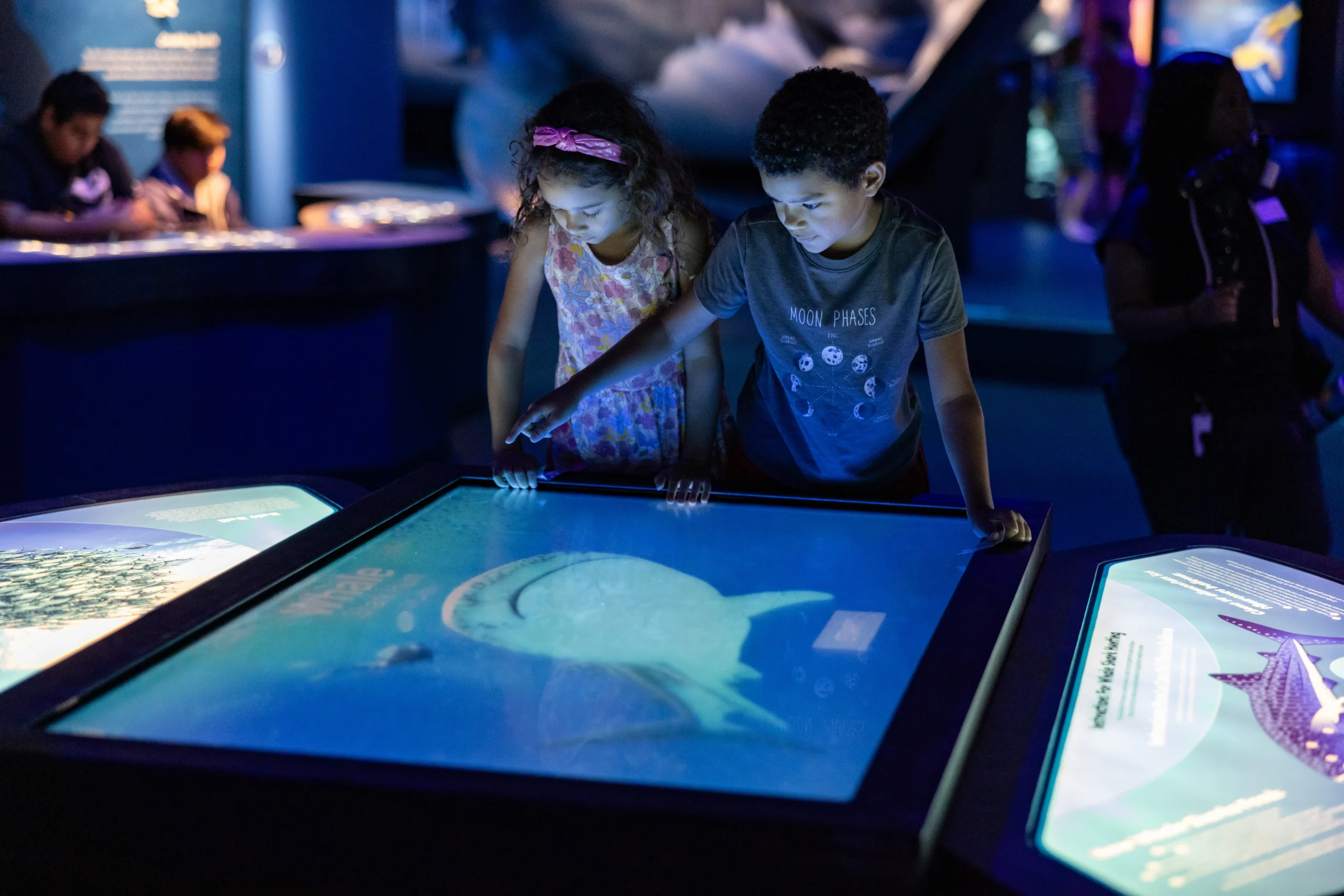 Plankton Pursuit Game