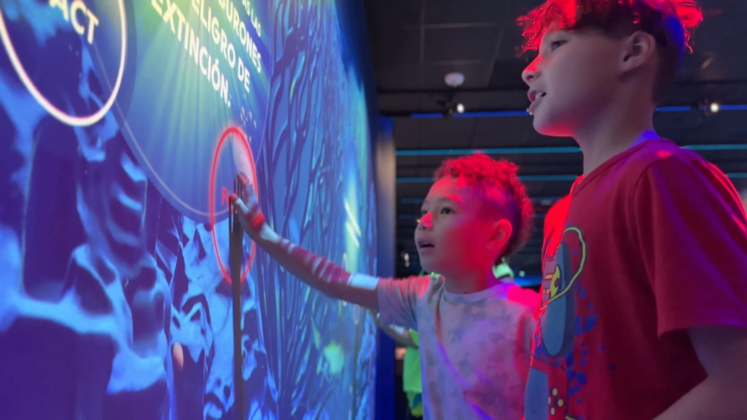 Sharks Fact or Fiction